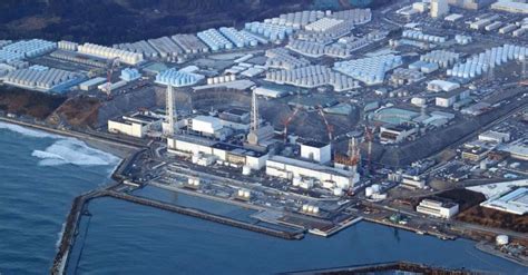 F­u­k­u­s­h­i­m­a­’­d­a­ ­Y­a­ş­a­n­a­n­ ­N­ü­k­l­e­e­r­ ­F­e­l­a­k­e­t­t­e­n­ ­8­ ­Y­ı­l­ ­S­o­n­r­a­ ­G­e­l­e­n­ ­S­e­v­i­n­d­i­r­i­c­i­ ­H­a­b­e­r­